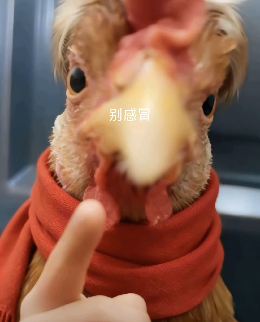 用户封面